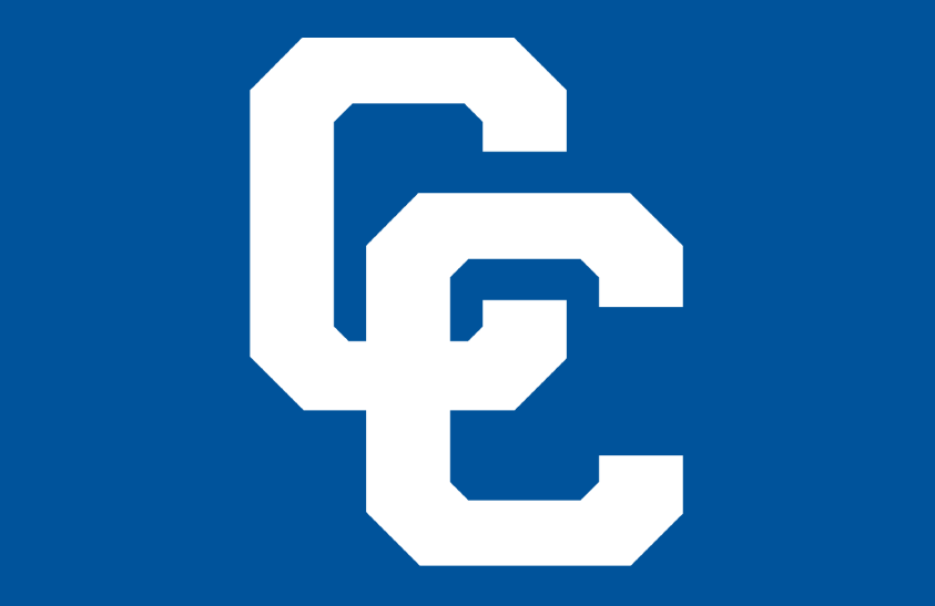 Central Connecticut Blue Devils 2008-2010 Helmet Logo diy iron on heat transfer